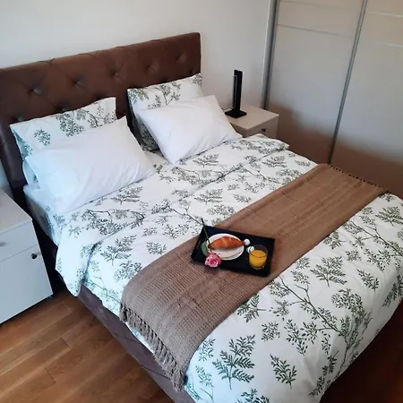 Apartment Palata Centar